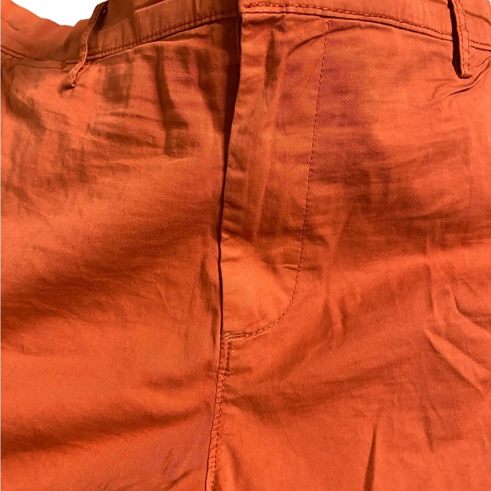 Goodthreads Men's Rust Shorts - Picture 3 of 10